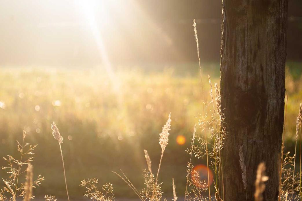 Aperiam in iure aut voluptatem quibusdam et