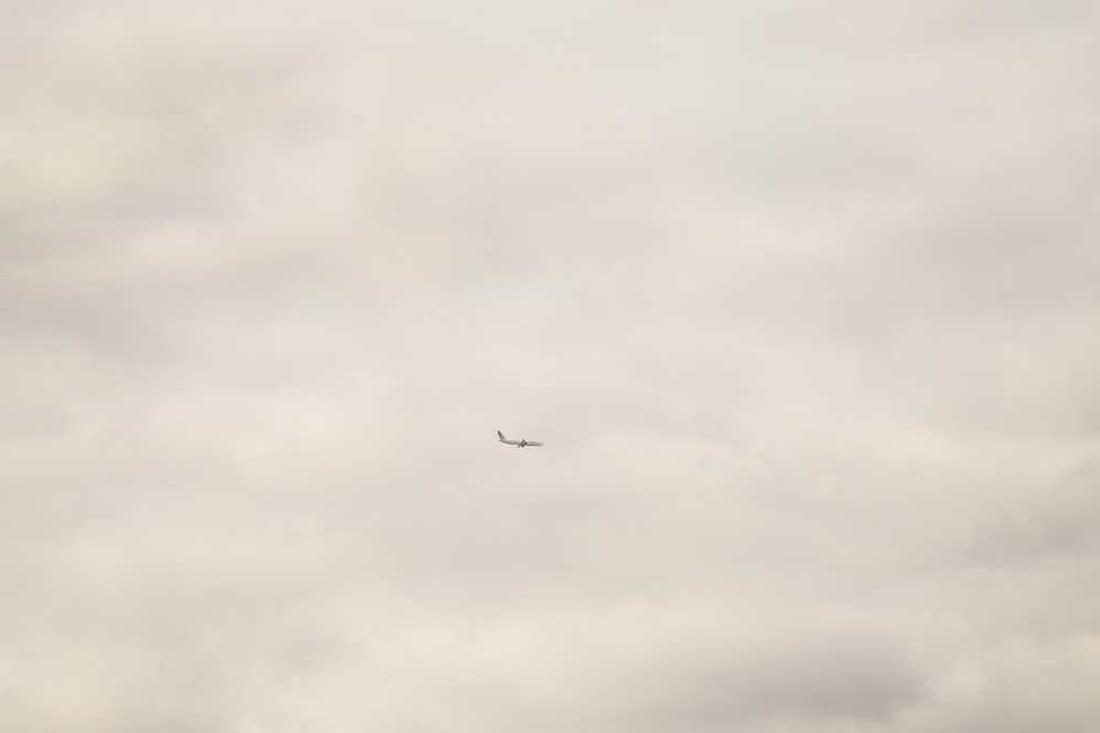 Possimus odio voluptas ab