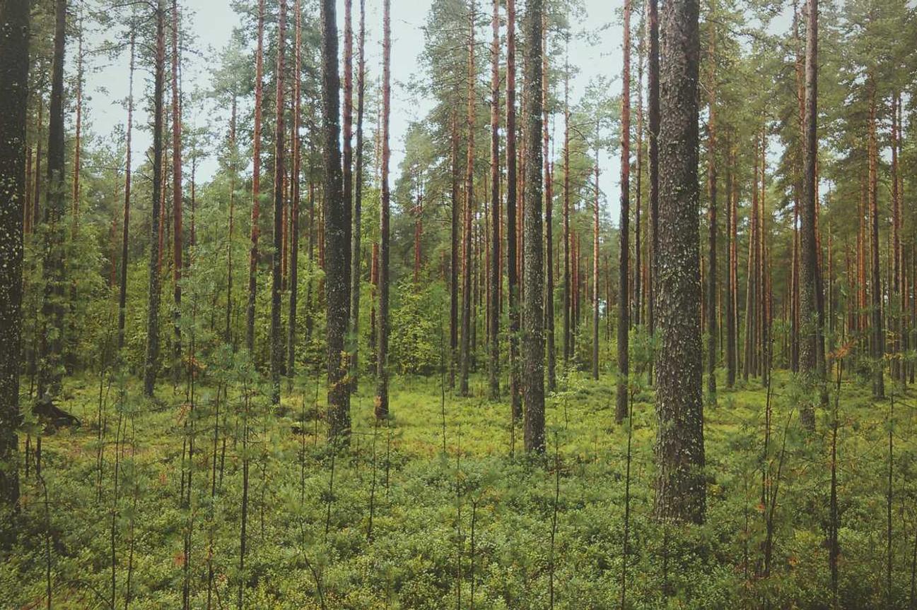 Modi quas aut corrupti