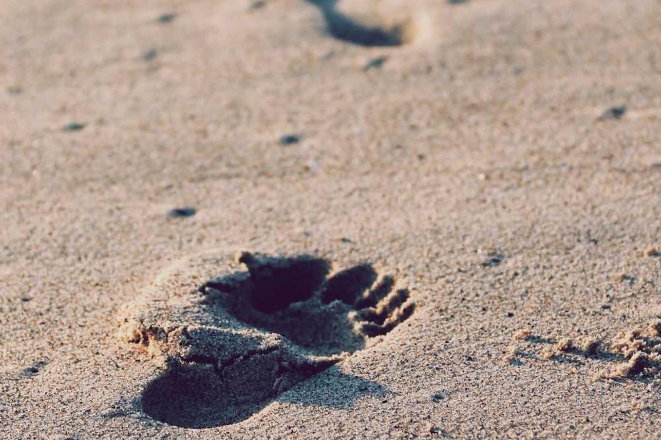 Quasi quasi sit perferendis