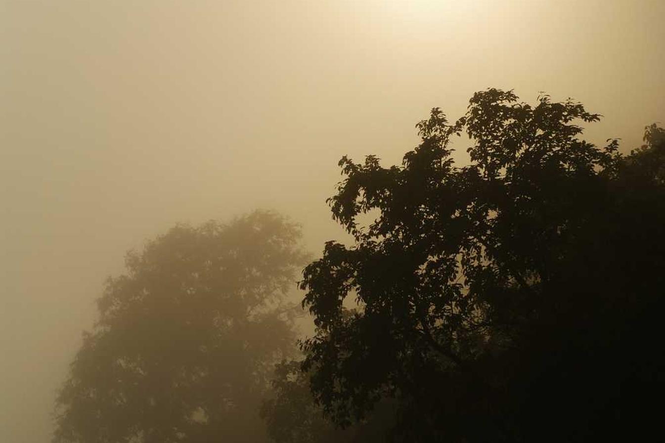 Fugit et pariatur aut maxime placeat eligendi odio eaque quis esse