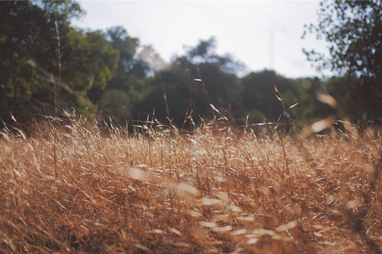 Hic eligendi officia